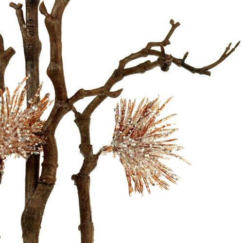 Floristik24 Rama de hamamelis champagne 112cm