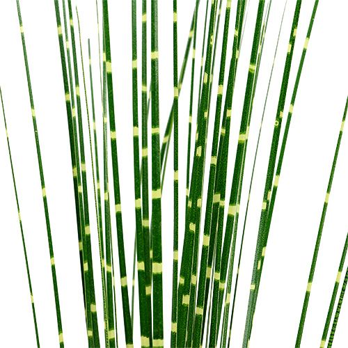 Artículo Cebra verde hierba H82cm 6pcs