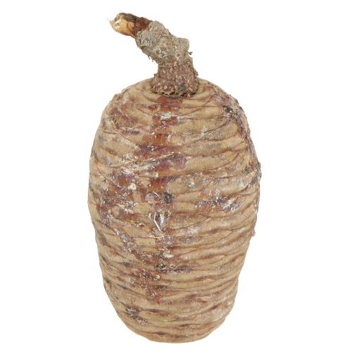 Floristik24 Conos de cedro cedro decorativo natural 9-10,5cm 3 piezas