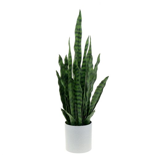 Floristik24 Sansevieria artificial en maceta H62cm