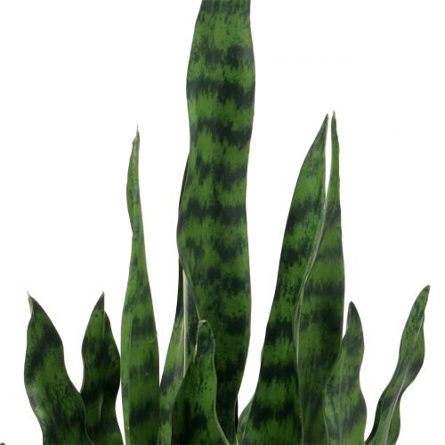 Artículo Sansevieria artificial en maceta H90cm