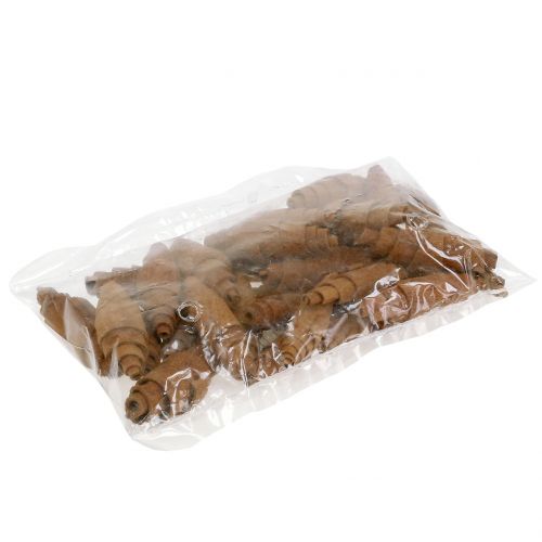 Floristik24 Decoración croissant canela 6,5cm - 7cm 30uds