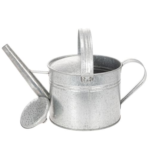 Regadera vintage de zinc, 27 cm - maceta para jardín y patio, maceta de metal | Floristik24.es