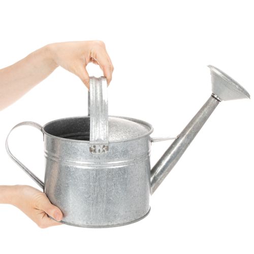 Regadera vintage de zinc, 27 cm - maceta para jardín y patio, maceta de metal | Floristik24.es