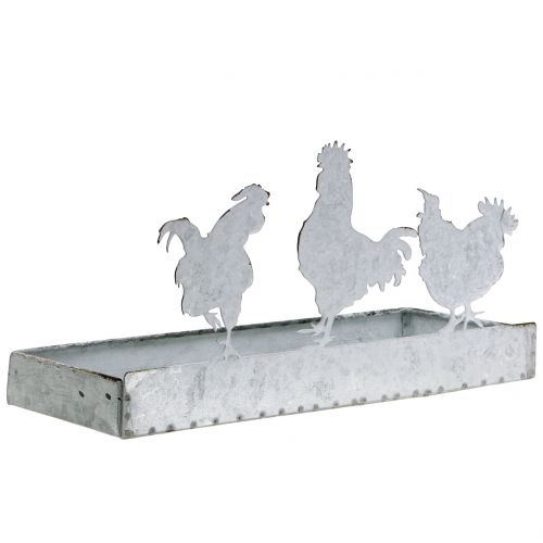 Floristik24 Bandeja de zinc con pollos 30cmx12cm A15,5cm