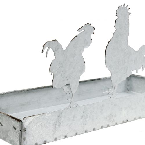 Floristik24 Bandeja de zinc con pollos 30cmx12cm A15,5cm