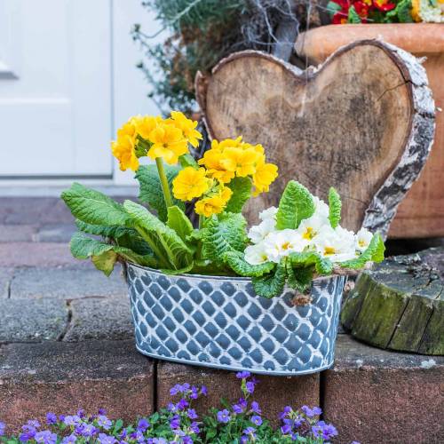 Floristik24 Cuenco de zinc diamante con asas de cuerda ovalado 32cm H15cm