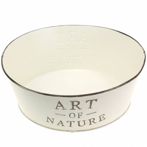 Floristik24 Cuenco de flores redondo zinc crema Ø25cm H9cm
