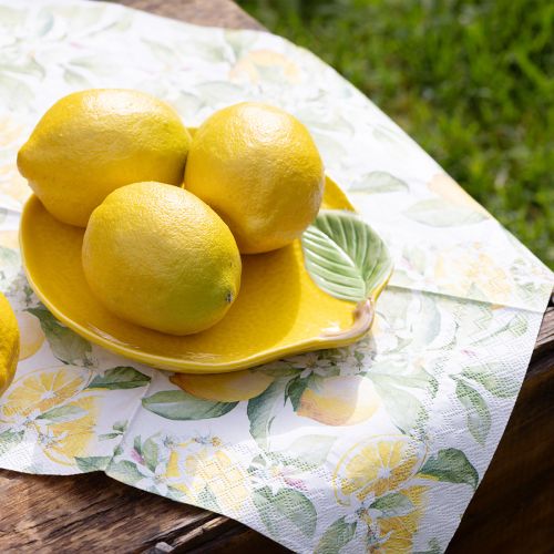 Floristik24 Plato limón plato decorativo cerámica amarillo limón 20×16cm