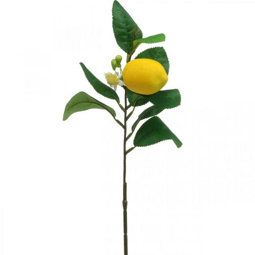 Floristik24 Deco rama limón artificial rama de limón 42cm 3pcs