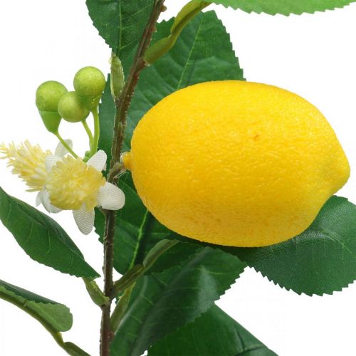 Floristik24 Deco rama limón artificial rama de limón 42cm 3pcs