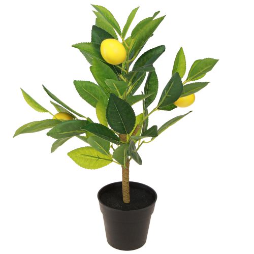 Artículo Limonero artificial limonero en maceta H40cm