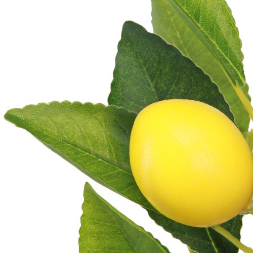 Artículo Limonero artificial limonero en maceta H40cm