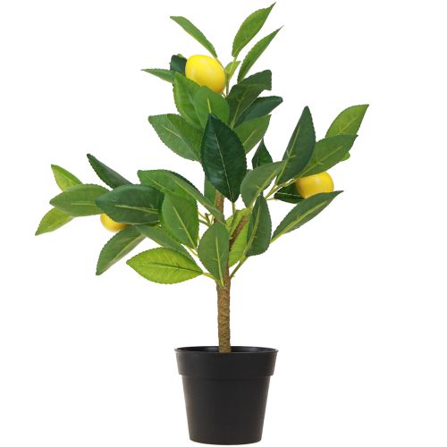 Artículo Limonero artificial limonero en maceta H40cm