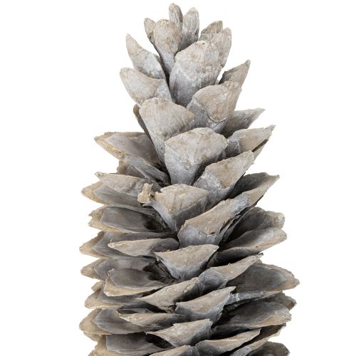 Artículo Piñas de pino azucarero encaladas 20cm - 30cm