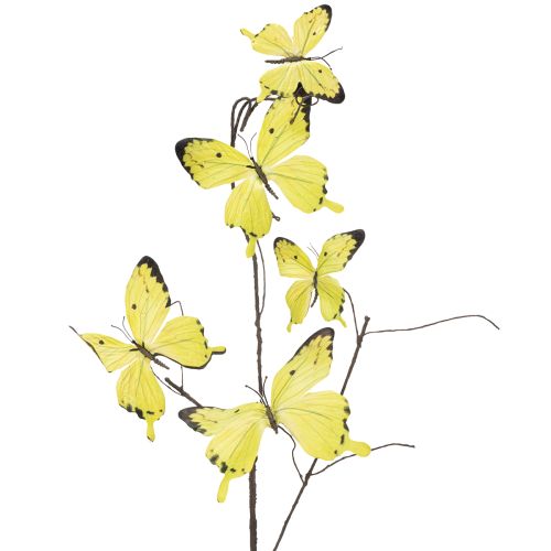 Floristik24 Rama de mariposa, decoración artística primaveral para interiores, 75 cm