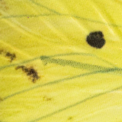 Artículo Rama de mariposa, decoración artística primaveral para interiores, 75 cm