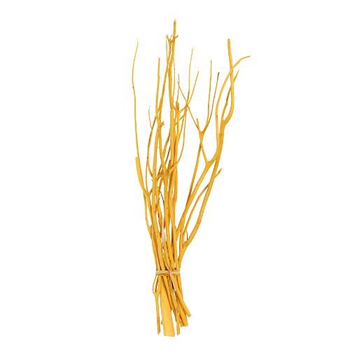 Floristik24 Ramas decorativas Mitsumata amarillo 45-60cm 12uds
