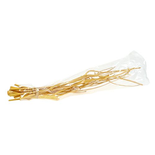 Floristik24 Ramas decorativas Mitsumata amarillo 45-60cm 12uds