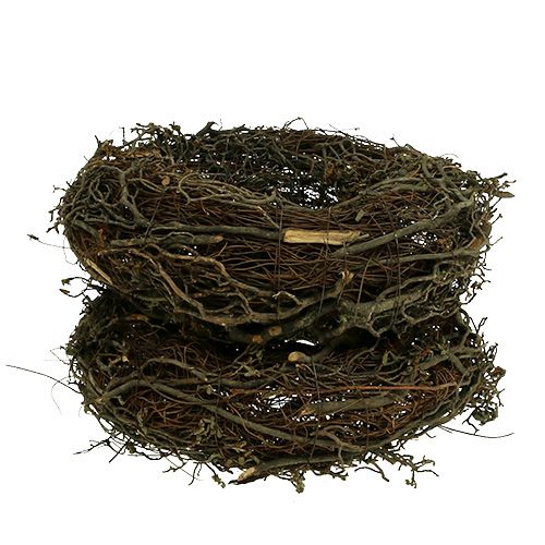 Floristik24 Corona de ramas Ø25cm 2uds. Naturaleza