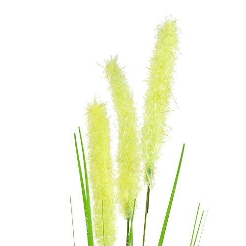 Floristik24 Cebolla hierba 68cm verde 6pcs