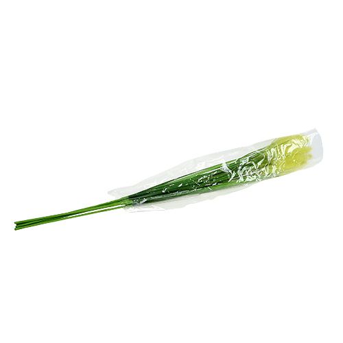 Floristik24 Cebolla hierba 68cm verde 6pcs