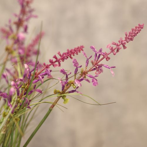 Artículo Vegetación decorativa con delicadas flores para un diseño de habitación elegante de 67 cm.