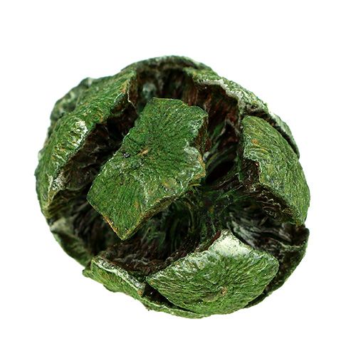 Floristik24 Piñas de ciprés 3cm verde 500g