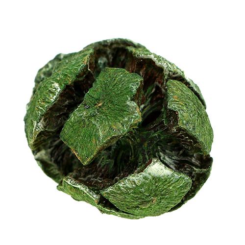 Floristik24 Conos de ciprés 3cm verde 500g