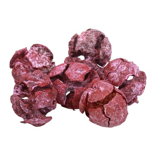 Artículo Conos de ciprés decoración natural esmerilada 3cm rojo oscuro 500g