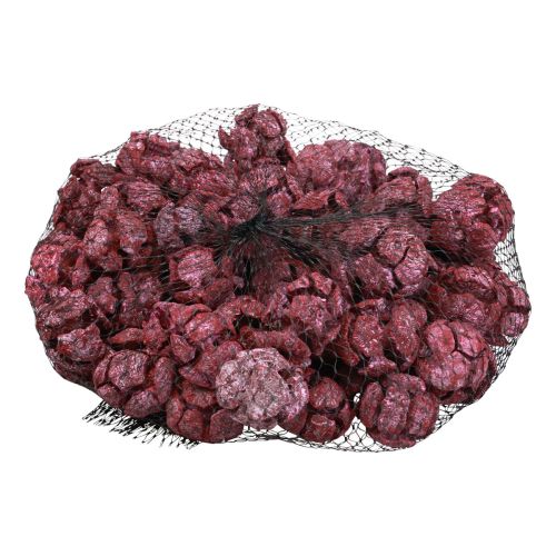 Artículo Conos de ciprés decoración natural esmerilada 3cm rojo oscuro 500g
