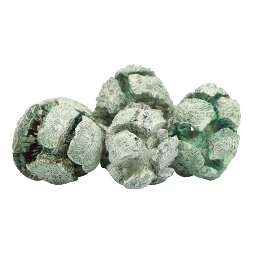 Artículo Conos de ciprés decoración natural esmerilada 3cm verde 500g