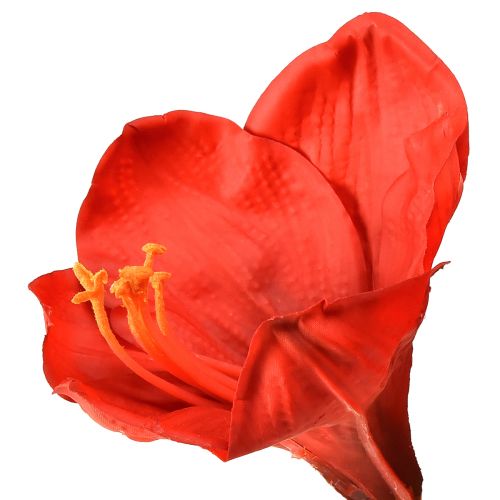 Artículo Amarilis artificial en rojo brillante: flores elegantes para una decoración lujosa de habitaciones, 66 cm