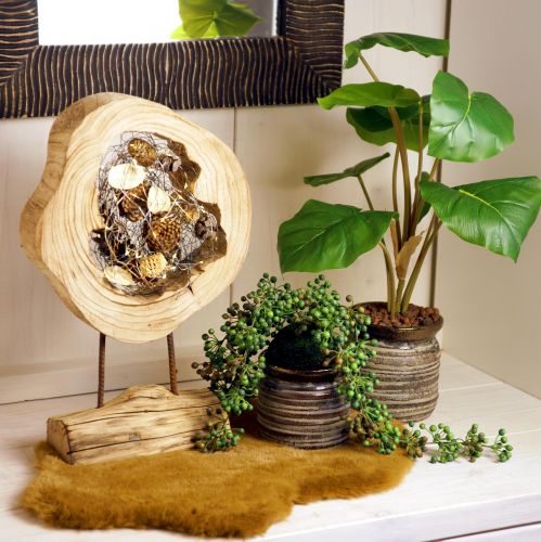 Floristik24 Anillo rústico de madera sobre soporte - Veta de madera natural, 54 cm - Escultura única para un ambiente elegante