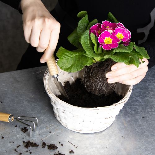 Artículo Cesta de mimbre decorativa para un diseño interior versátil, 20 cm, 8 piezas