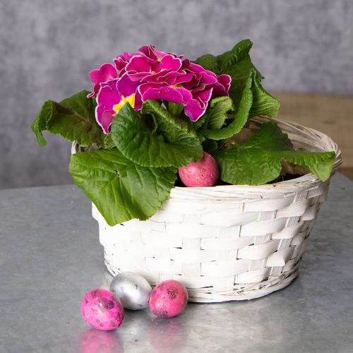 Artículo Cesta de mimbre decorativa para un diseño interior versátil, 20 cm, 8 piezas