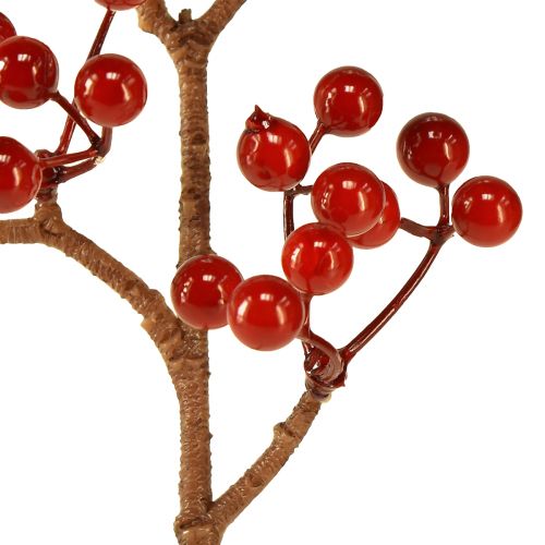 Floristik24 Ramas de frutos rojos brillantes – Ideal para decoraciones festivas, 30 cm – Juego de 6