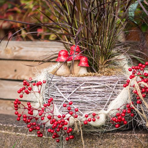 Ramas de frutos rojos brillantes – Ideal para decoraciones festivas, 30 cm – Juego de 6 | Floristik24.es