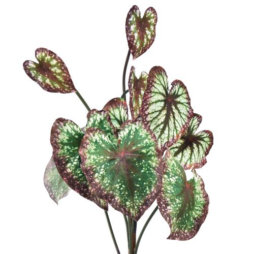 Artículo Begonia Plantas Artificiales Hoja Begonias Verde Púrpura 62cm