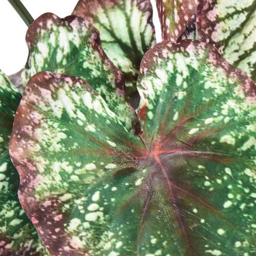 Artículo Begonia Plantas Artificiales Hoja Begonias Verde Púrpura 62cm