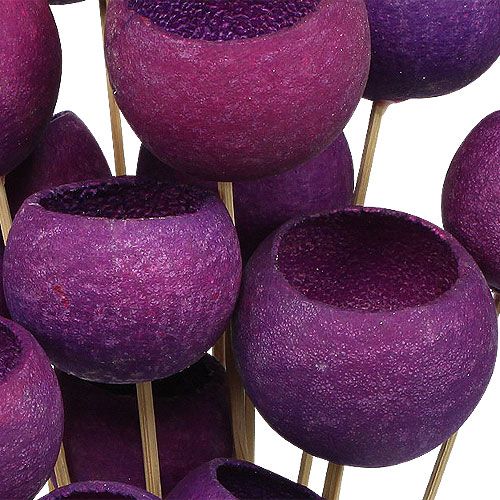 Floristik24 Bell Cup Mix en palito Erika 15uds