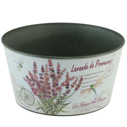 Floristik24 Macetero lavanda de plástico para flores redondo Ø21cm H11cm