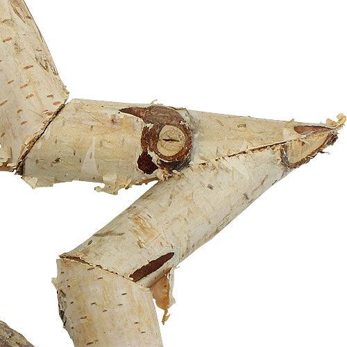 Floristik24 Estrella de abedul para colgar 22cm