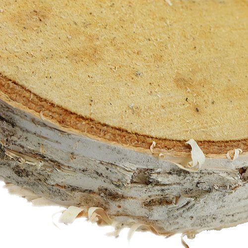 Rodajas de abedul redondas naturales 10 piezas