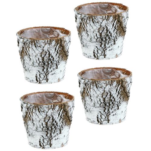 Artículo Maceta de abedul mediana, maceta de abedul blanca, Ø12 cm, altura 10,5 cm, 4 unidades