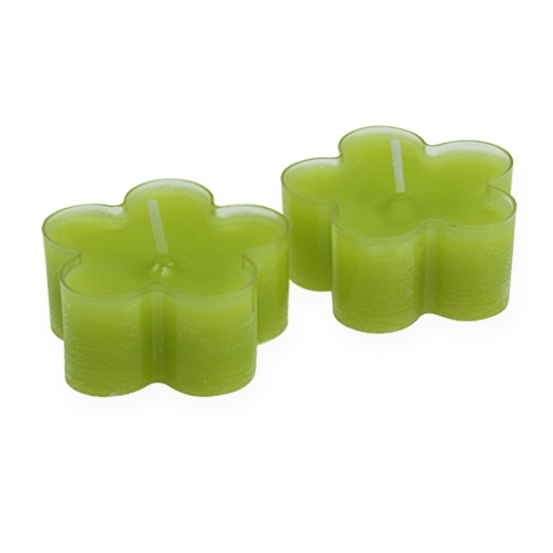 Floristik24 Candelita en forma de flor verde Ø5cm 12pcs