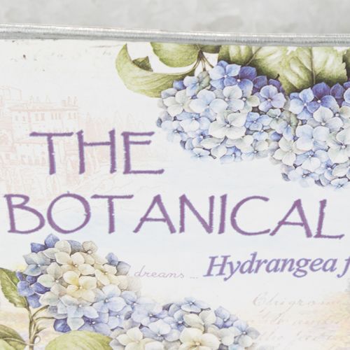 Artículo Maceta ovalada de metal con asas, para hortensias, 32×15×15 cm