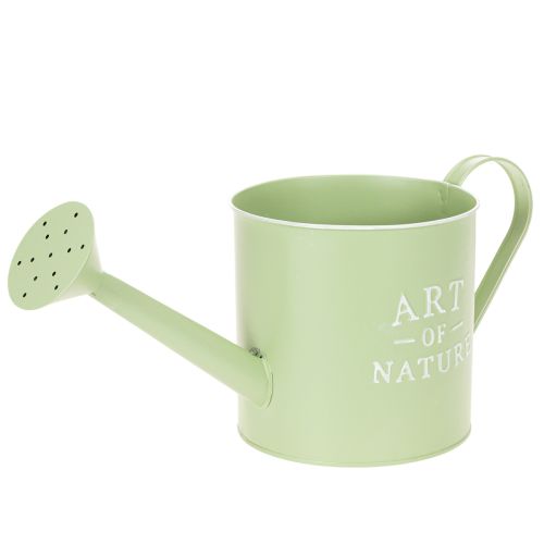 Maceta, regadera decorativa, maceta de zinc verde menta, Ø16,5 cm comprar | Floristik24.es