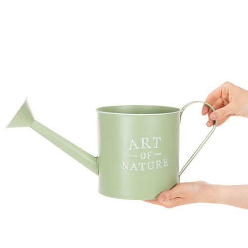Maceta, regadera decorativa, maceta de zinc verde menta, Ø16,5 cm | Floristik24.es