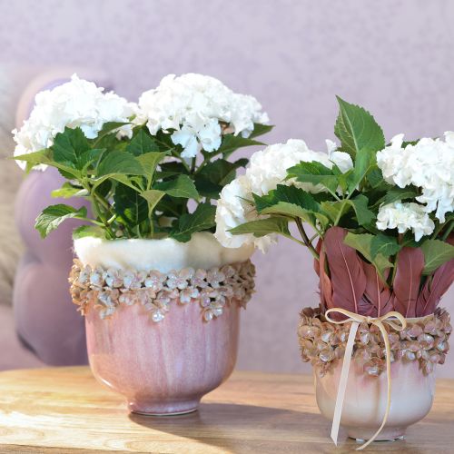 Artículo Maceta Cerámica con Borde de Flor Rosa Ø19cm H16.5cm